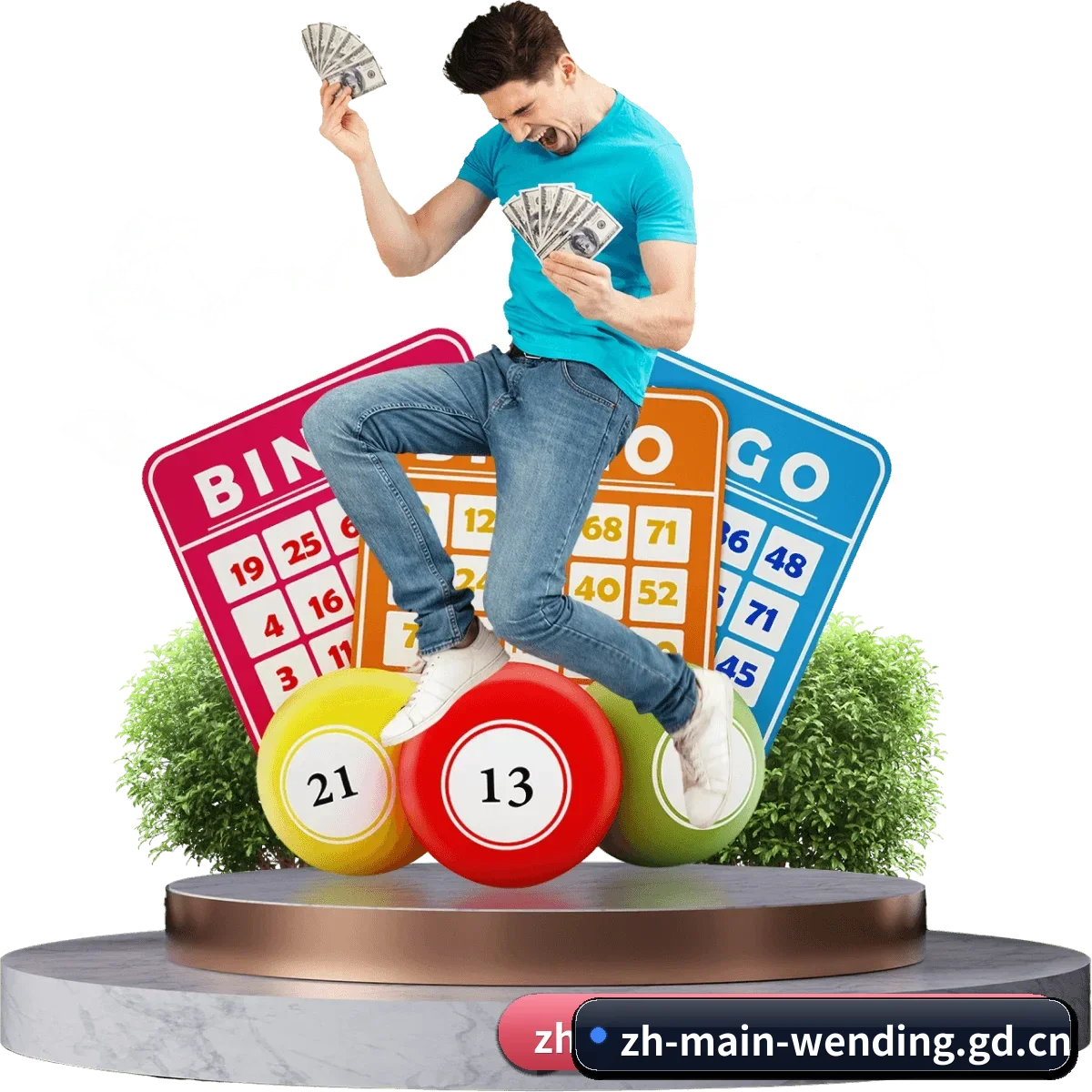 用户规模跃升